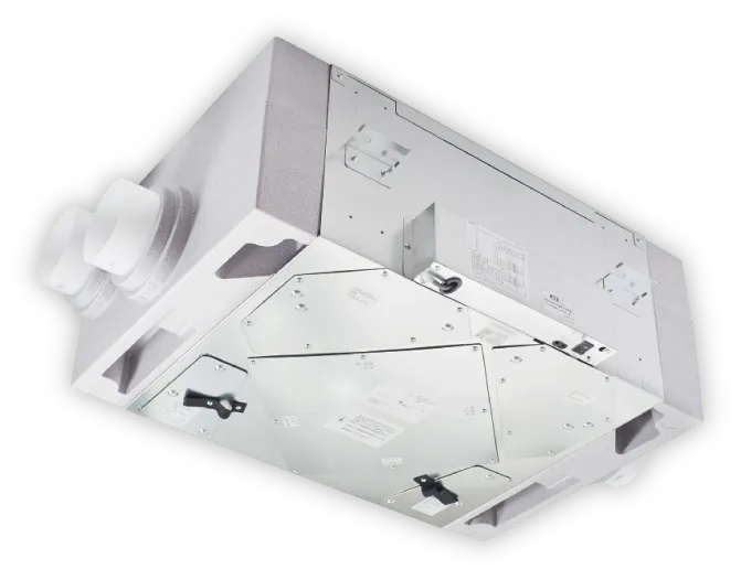 プロネアの写真